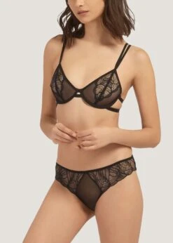 BLUEBELLA Emerson (Black) Lace And Mesh Brief -Underwear Specialty Store bluebella emerson brief black lace mesh panty sexy lingerie D