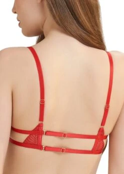 BLUEBELLA Enya Bra 11 BLUEBELLA Enya Bra -Underwear Specialty Store bluebella enya red embroidery mesh underwire bra sexy lingerie C