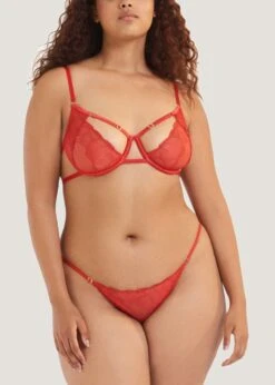 BLUEBELLA Enya Bra 14 BLUEBELLA Enya Bra -Underwear Specialty Store bluebella enya red embroidery mesh underwire bra sexy lingerie F