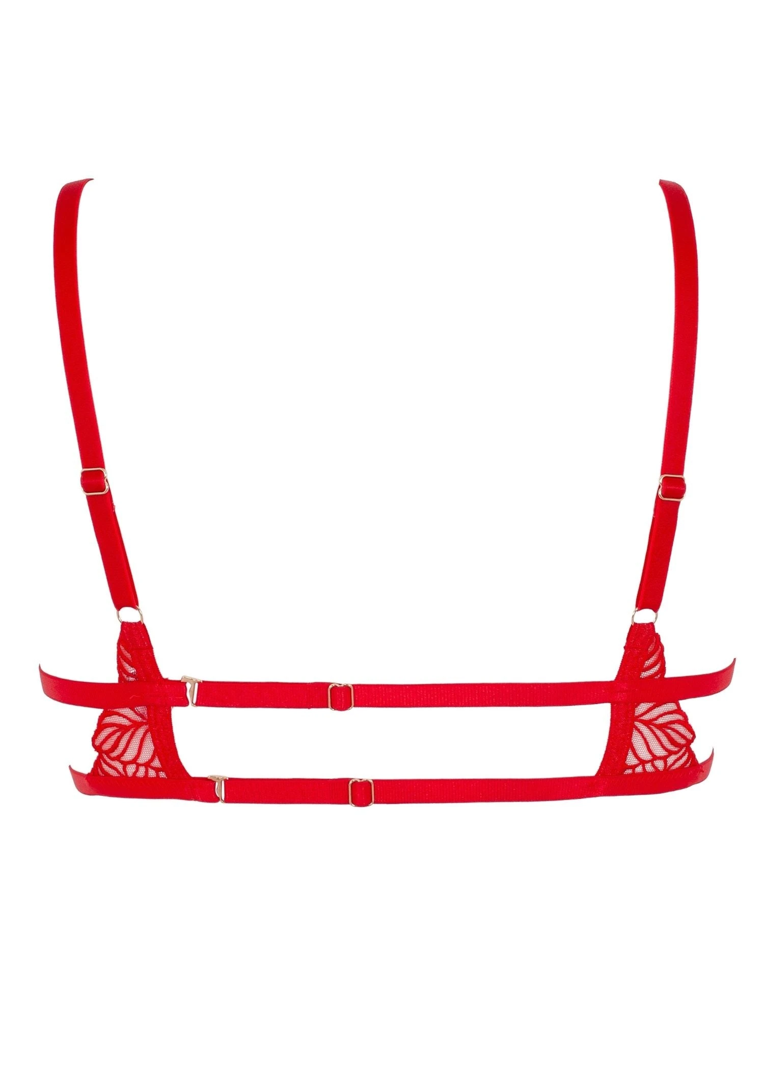 BLUEBELLA Enya Bra 9 BLUEBELLA Enya Bra - Image 7