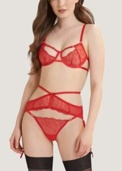 BLUEBELLA Enya Suspender Harness (Detachable) 10 BLUEBELLA Enya Suspender Harness (Detachable) -Underwear Specialty Store bluebella enya red suspender harness detachable bodywear bottoms sexy lingerie C