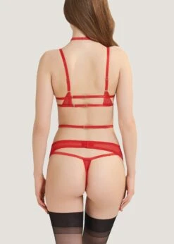 BLUEBELLA Enya Suspender Harness (Detachable) 11 BLUEBELLA Enya Suspender Harness (Detachable) -Underwear Specialty Store bluebella enya red suspender harness detachable bodywear bottoms sexy lingerie D