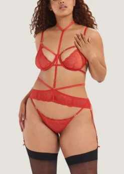 BLUEBELLA Enya Suspender Harness (Detachable) 12 BLUEBELLA Enya Suspender Harness (Detachable) -Underwear Specialty Store bluebella enya red suspender harness detachable bodywear bottoms sexy lingerie E