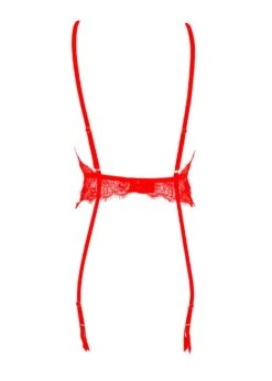 BLUEBELLA Grace Soft Basque (Red) -Underwear Specialty Store bluebella grace soft basque tomato red lace bodysuit sexy lingerie F