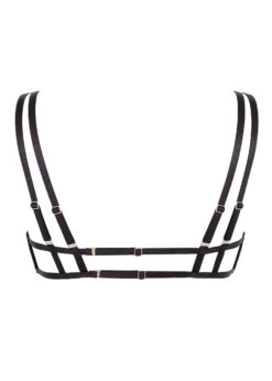 BLUEBELLA Harley Bra -Underwear Specialty Store bluebella harley open bra black sexy lingerie F