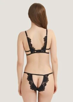 BLUEBELLA Ina Open-Back Brief -Underwear Specialty Store bluebella ina open back brief black mesh embroidery peephole panty sexy lingerie E