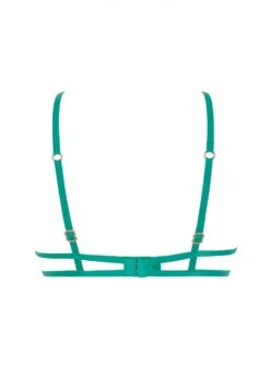 BLUEBELLA Isadora Bra (Columbia Green) -Underwear Specialty Store bluebella isadora bra columbia green underwired non padded lace embroidery sexy lingerie H