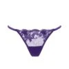 BLUEBELLA Marseille Brief (Heliotrope Purple)