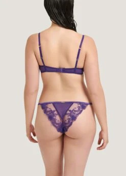 BLUEBELLA Marseille Brief (Heliotrope Purple) -Underwear Specialty Store bluebella marseille brief purple lace mesh underwear sexy lingerie G