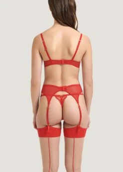 BLUEBELLA Marseille Suspender (Red) -Underwear Specialty Store bluebella marseille suspender tomato red lace embroidery sexy lingerie E