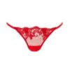 BLUEBELLA Marseille Thong (Red) -Underwear Specialty Store bluebella marseille thong tomato red g string lace embroidery sexy underwear lingerie A
