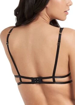 BLUEBELLA Simone Bra -Underwear Specialty Store bluebella simone bra cupless nonpadded underwire openbra sexy lingerie 41281 C