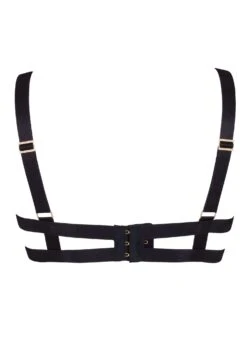 BLUEBELLA Slade Bra -Underwear Specialty Store bluebella slade open bra black sexy lingerie H