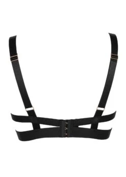 BLUEBELLA Sofia Bra -Underwear Specialty Store bluebella sofia bra underwire black mesh v cut plunge sexy lingerie H