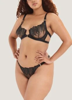 BLUEBELLA Sofia Thong -Underwear Specialty Store bluebella sofia thong black mesh bottoms sexy lingerie luxury lingerie F