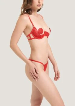 BLUEBELLA Tallulah Thong (Red) 14 BLUEBELLA Tallulah Thong (Red) -Underwear Specialty Store bluebella tallulah thong red lace gstring underwear sexy lingerie E