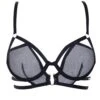 BLUEBELLA Estelle Bra -Underwear Specialty Store blueblla estelle bra underwired mesh non padded black sexy lingerie A
