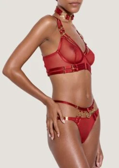 Kleio Open Back Brief (Burnt Red) -Underwear Specialty Store bordelle kleio open back ouvert brief red sexy underwear lingerie E