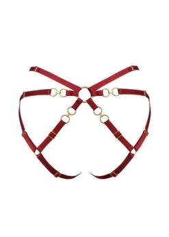 Kleio Open Back Brief (Burnt Red) -Underwear Specialty Store bordelle kleio open back ouvert brief red sexy underwear lingerie I