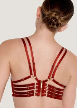 Kleio Ouvert Wire Bra (Burnt Red) -Underwear Specialty Store bordelle kleio ouvert wired open cupless bra red underwired sexy lingerie C