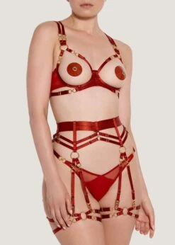 Kleio Ouvert Wire Bra (Burnt Red) -Underwear Specialty Store bordelle kleio ouvert wired open cupless bra red underwired sexy lingerie D