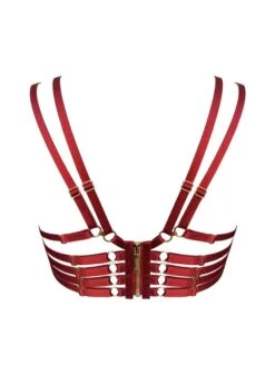 Kleio Ouvert Wire Bra (Burnt Red) -Underwear Specialty Store bordelle kleio ouvert wired open cupless bra red underwired sexy lingerie G