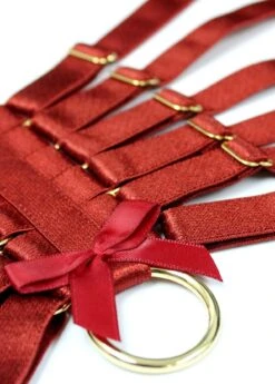 Webbed Suspender (Burnt Red) -Underwear Specialty Store bordelle webbed suspender burnt red sigs01br 1