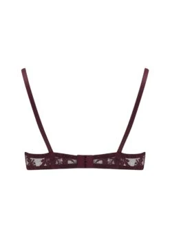 Camellia High Apex Plunge Bra (Sienna) -Underwear Specialty Store coco de mer camellia high apex plunge bra underwired red lace sienna avec amour luxury lingerie G