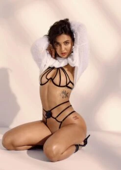 Jacqueline Bra -Underwear Specialty Store god save queens jacqueline bra undewire leather embroidery nude black mesh sexy lingerie E