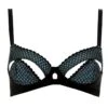Liana Bra 1 Liana Bra -Underwear Specialty Store liana bra a 12