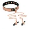 Rose Gold Memory Collar With Nipple Clamps -Underwear Specialty Store liebe seele rose gold memory collar and nipple clamps pink bdsm bondage bedroom fun sex toy A