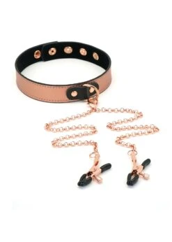 Rose Gold Memory Collar With Nipple Clamps