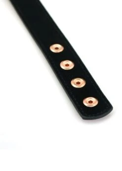 Rose Gold Memory Collar With Nipple Clamps -Underwear Specialty Store liebe seele rose gold memory collar and nipple clamps pink bdsm bondage bedroom fun sex toy D