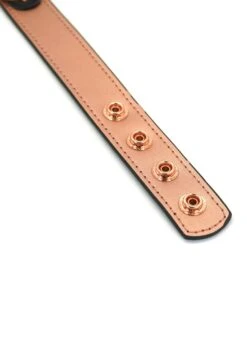 Rose Gold Memory Collar With Nipple Clamps -Underwear Specialty Store liebe seele rose gold memory collar and nipple clamps pink bdsm bondage bedroom fun sex toy E