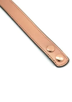 Rose Gold Memory Collar With Nipple Clamps -Underwear Specialty Store liebe seele rose gold memory collar and nipple clamps pink bdsm bondage bedroom fun sex toy F