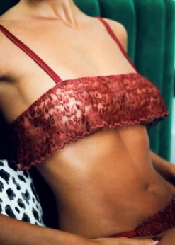 Lola Brazilian Knicker (Red Leopard) -Underwear Specialty Store muse by coco de mer lola brazilian knicker red leopard lace underwear sexy luxury lingerie G