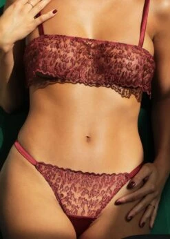 Lola Brazilian Knicker (Red Leopard) -Underwear Specialty Store muse by coco de mer lola brazilian knicker red leopard lace underwear sexy luxury lingerie H