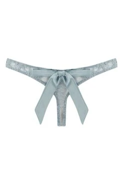 Viola Bow Back Thong -Underwear Specialty Store muse coco de mer viola satin bow back lace thong pale blue sexy lingerie E