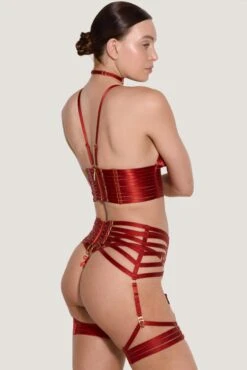 Webbed Suspender (Burnt Red) -Underwear Specialty Store sigs01br bordelle webbed suspender burnt red sexy lingerie bottoms I