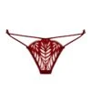 Sphinx Brief 1 Sphinx Brief -Underwear Specialty Store tisja damen sphinx red burgundy brief botom panty lace sexy high end lingerie A