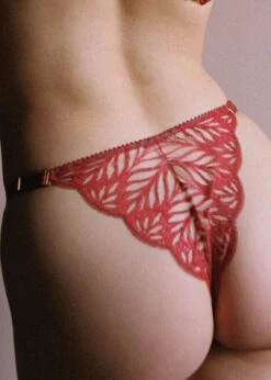 Sphinx Brief -Underwear Specialty Store tisja damen sphinx red burgundy brief botom panty lace sexy high end lingerie C