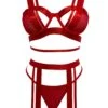 Rachana Bra, Thong And Garter -Underwear Specialty Store unleashed rachana mesh wide band non padded wired bra thong suspender garter 16801 red sexy lingerie set A