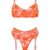 Regina Bra, Thong And Suspender Set -Underwear Specialty Store unleashed regina orange coral lingerie set underwired bra thong suspender sexy lingerie A