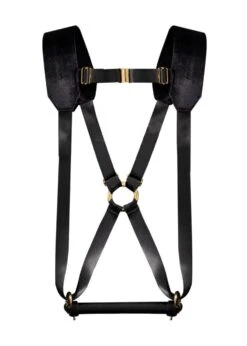 Harness Restraint Device