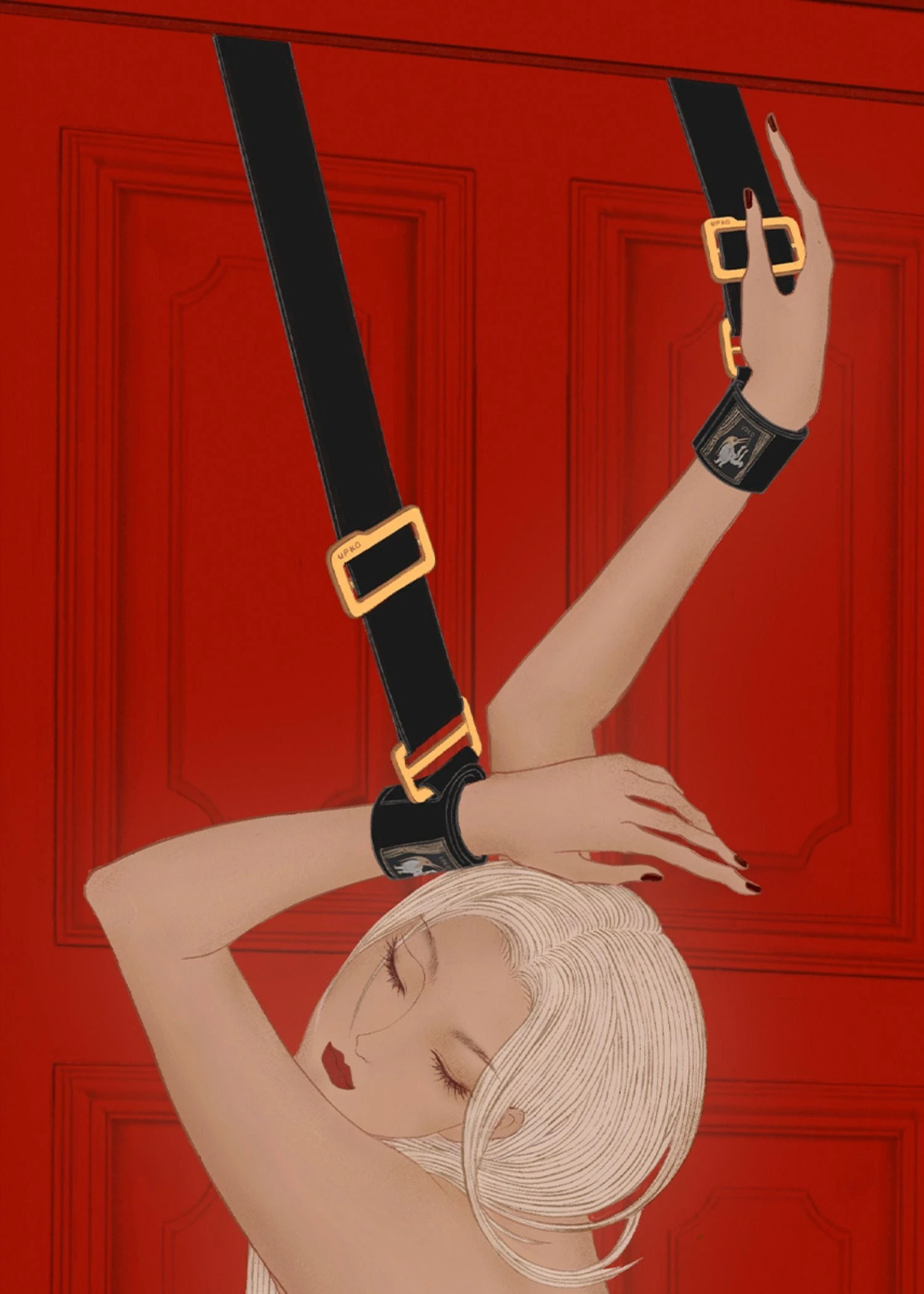 Over The Door Hand Restraints 4 Over The Door Hand Restraints - Image 2